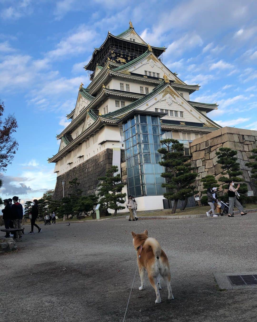 こなつさんのインスタグラム写真 - (こなつInstagram)「大阪城まで行って来ました。  * * * #大阪城」11月29日 0時04分 - makonatu