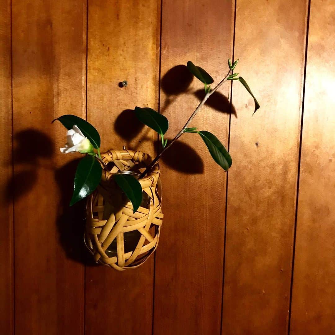 丸山敬太さんのインスタグラム写真 - (丸山敬太Instagram)「庭で手折った花や枝を あるがままに活ける。  そんな豊かさをいつも教えてくれる。 いつだって憧れる。」11月29日 0時51分 - keitamaruyama