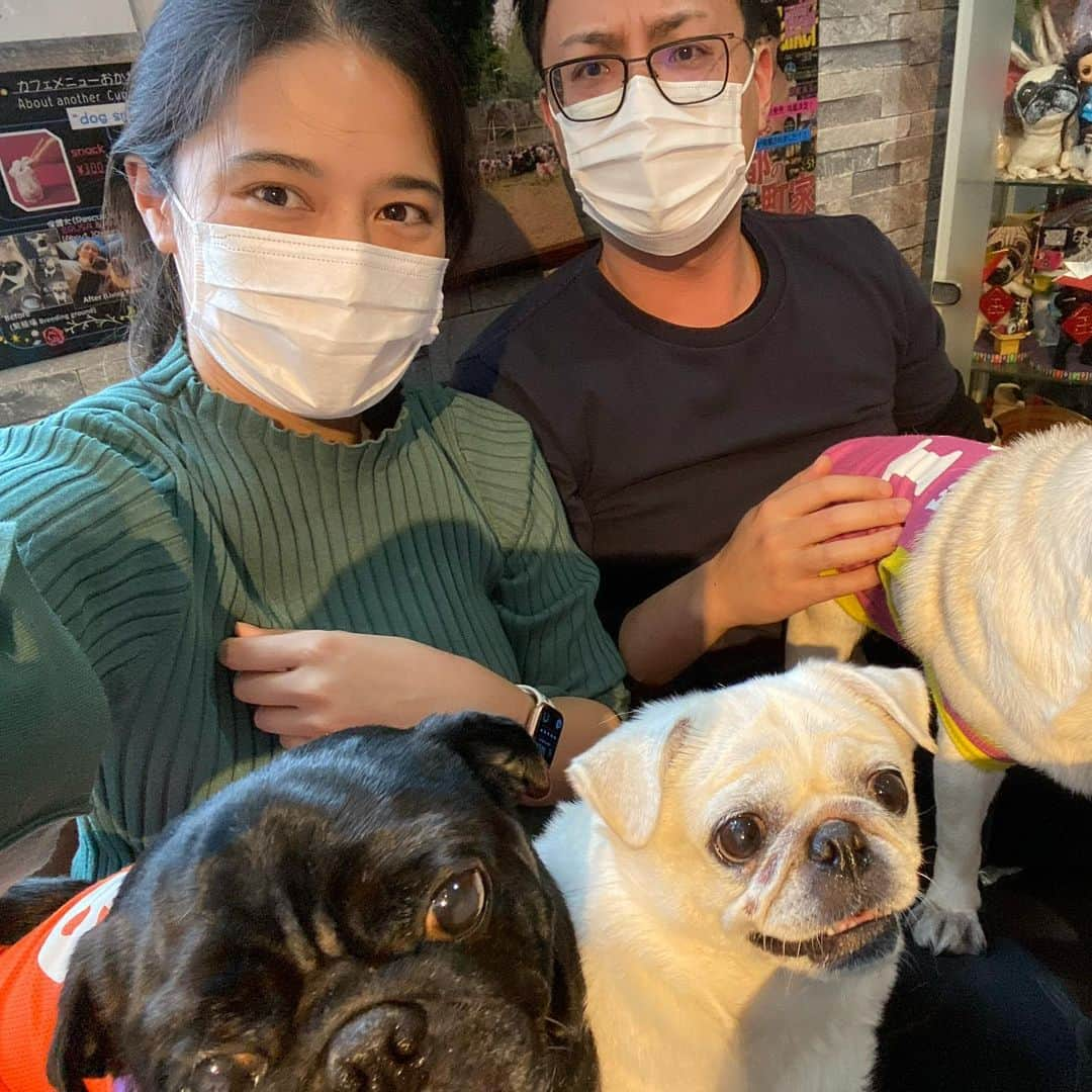 リムザン万凛さんのインスタグラム写真 - (リムザン万凛Instagram)「念願のパグカフェいってきました🐶 10匹に絡まれた時にはパピヨン3匹なんてちょろいなと思ってしまった...😂みんな超人懐っこかった! 日本に一つしかないパグと遊べるカフェらしいのでパグ好き(いや犬好きでも)の方は行ってみてください〜! また行きたい〜〜!☺️ @livingroomkyoto   #パグカフェ #京都 #京都観光 #犬カフェ #わんこカフェ #ぶさかわ犬」11月28日 16時00分 - marinelimouzin