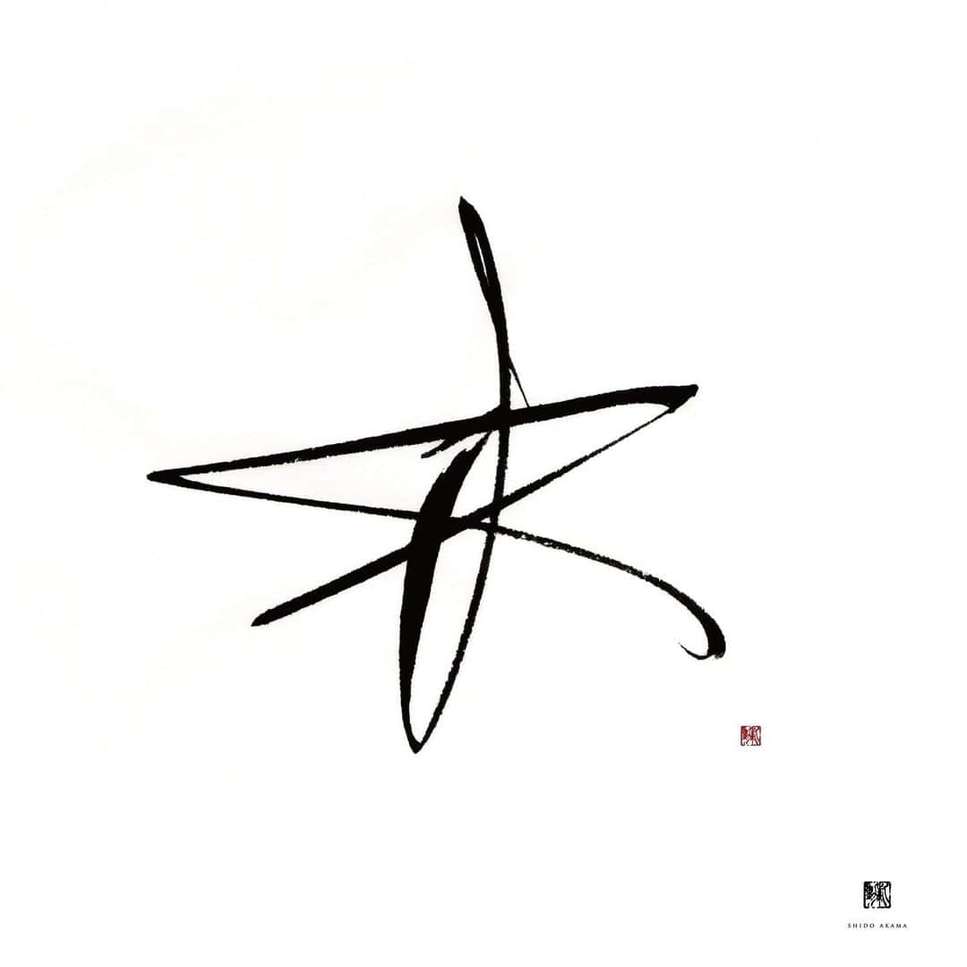 赤間紫動のインスタグラム：「. title : 星　2020﻿ ・・・﻿ #calligraphy#calligrapher#japanesecalligraphy#tokyo#japan#calligrafia#kaligrafi#caligrafo#kanji#shodo#白黒#书道#서예#書道#書#墨#赤間紫動#shidoakama#星#star#⭐︎」