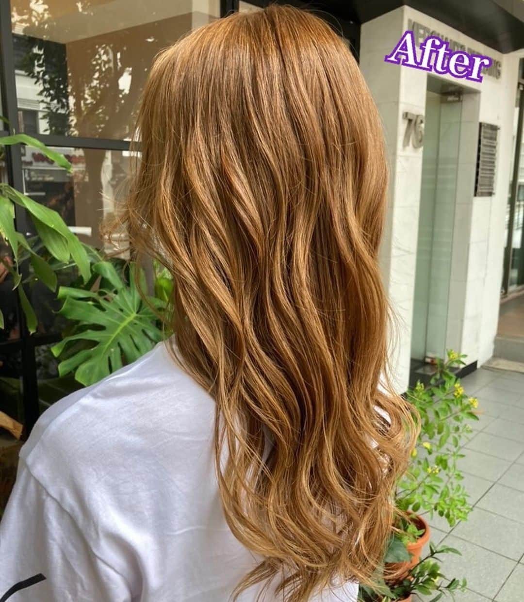 市原彩花さんのインスタグラム写真 - (市原彩花Instagram)「この前美容院行って来たよん〜💇‍♀️  どんなに傷んだ髪も綺麗に生き返らせてくれる @teppei.j さんはまじ神様🙏✨あ、髪様🙏笑  髪色や髪型に超こだわりのあるシンガポールのコスプレイヤーちゃん達もテッペイさん指名してるくらい、カラーもカットも抜群に上手いよ✨  私のインスタ見たで平日30%、祝日20%offになるから @teppei.j にDM予約してみてね😆  美容院探してる方、一度テッペイさんのとこ行ってみて〜😊💓  You'll get a weekday 30%, weekend 20% discount,so please DM @teppei.j to make a reservation❣️  #singapore#シンガポール#海外旅行#旅行#travel#abroad#シンガポール旅行#シンガポール観光#シンガポール暮らし#シンガポール生活#シンガポール在住#シンガポール在住日本人#シンガポール美容室#japanesemodel#髪様とは」11月28日 16時58分 - ayaka_ichihara