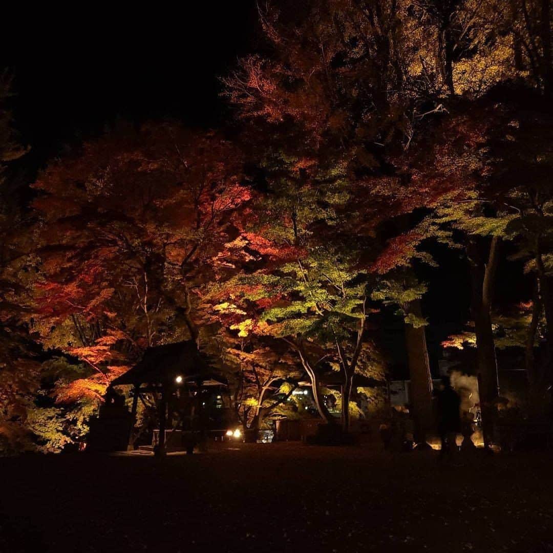Galaxy Mobile Japanさんのインスタグラム写真 - (Galaxy Mobile JapanInstagram)「紅葉は昼でも夜でも美しい…😍🍁秋夜に浮かび上がる鮮やかな紅葉を捉えたのは、#Galaxyカメラ部 の @hiro_igr さんです✨今の季節ならではの、素敵な作品をありがとうございました♪ 📸#GalaxyS20Plus 5G Photo by @hiro_igr ・ ・ ・ #withGalaxy #Galaxy5G #GalaxyS20 #ギャラクシーS20 #ギャラクシー #福島 #福島県 #いわき市 #温泉神社 #神社 #神社巡り #神社仏閣巡り #紅葉 #🍁 #秋の風景 #秋が好き #誰かに見せたい風景 #誰かに見せたい景色 #秋の夜長 #秋の夜 #秋の東北 #日本の絶景 #絶景 #日本の美しい風景 #スマホ撮影 #スマホ写真 #fukushima #Galaxyカメラ部 ・ Galaxy で撮影した写真を #Galaxyカメラ部 をつけて投稿すると、Galaxy のInstagramで紹介されるかも？ぜひ投稿してみてね✨」11月28日 17時00分 - samsungjpn