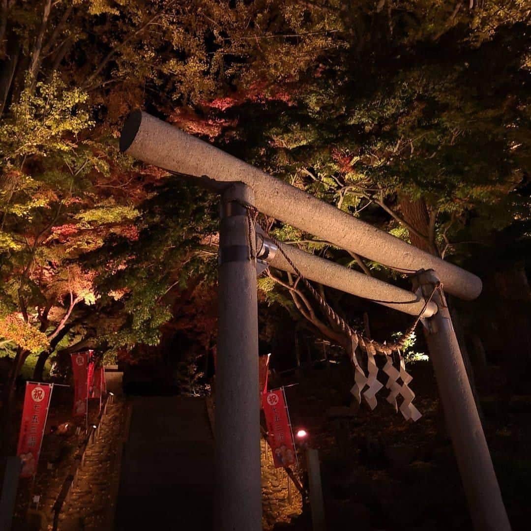Galaxy Mobile Japanさんのインスタグラム写真 - (Galaxy Mobile JapanInstagram)「紅葉は昼でも夜でも美しい…😍🍁秋夜に浮かび上がる鮮やかな紅葉を捉えたのは、#Galaxyカメラ部 の @hiro_igr さんです✨今の季節ならではの、素敵な作品をありがとうございました♪ 📸#GalaxyS20Plus 5G Photo by @hiro_igr ・ ・ ・ #withGalaxy #Galaxy5G #GalaxyS20 #ギャラクシーS20 #ギャラクシー #福島 #福島県 #いわき市 #温泉神社 #神社 #神社巡り #神社仏閣巡り #紅葉 #🍁 #秋の風景 #秋が好き #誰かに見せたい風景 #誰かに見せたい景色 #秋の夜長 #秋の夜 #秋の東北 #日本の絶景 #絶景 #日本の美しい風景 #スマホ撮影 #スマホ写真 #fukushima #Galaxyカメラ部 ・ Galaxy で撮影した写真を #Galaxyカメラ部 をつけて投稿すると、Galaxy のInstagramで紹介されるかも？ぜひ投稿してみてね✨」11月28日 17時00分 - samsungjpn