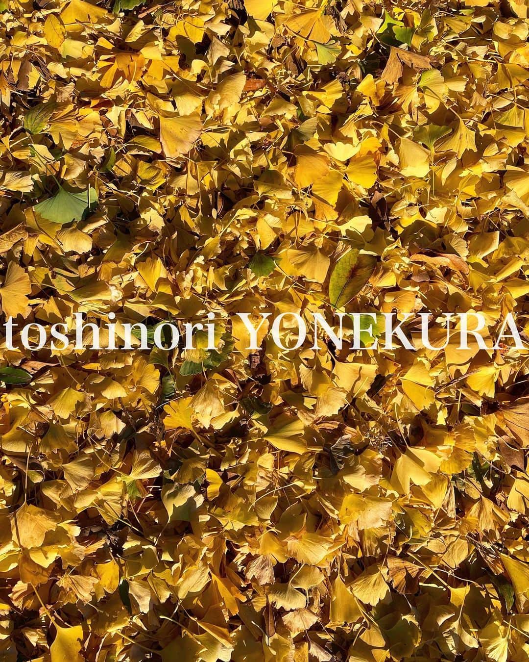 米倉利紀さんのインスタグラム写真 - (米倉利紀Instagram)「autumn in TOKYO🍂」11月28日 17時01分 - toshi_yonekura
