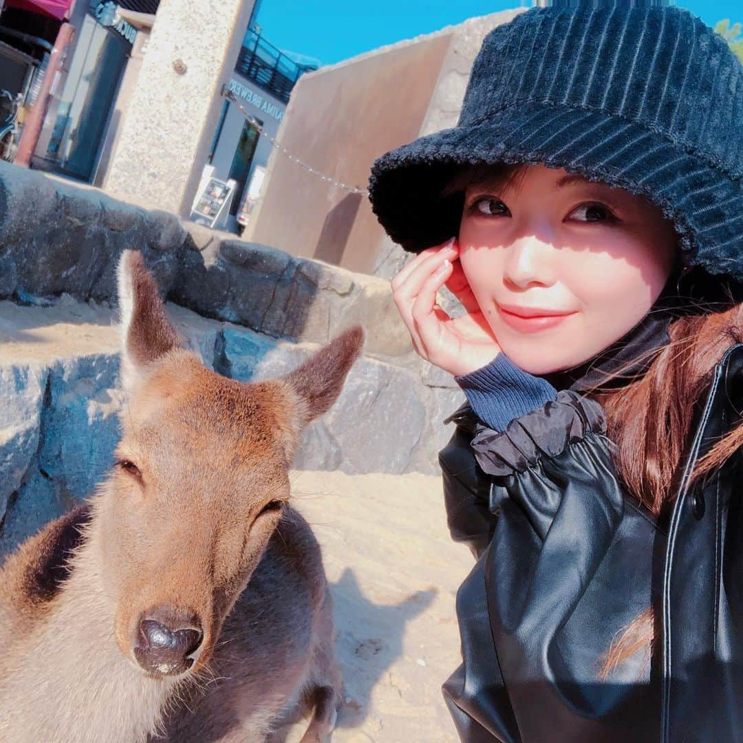 森香穂さんのインスタグラム写真 - (森香穂Instagram)「お鹿と🦌💕 宮島は鹿がいっぱいいますね 海岸で揚げもみじ饅頭食べながらたそがれていたら襲われました(￣▽￣;)でも人懐っこくて可愛かった💓💓  #鹿 #宮島 #広島 #揚げもみじ饅頭 #瀬戸内海 #瀬戸内」11月28日 17時17分 - kaho_mori0601