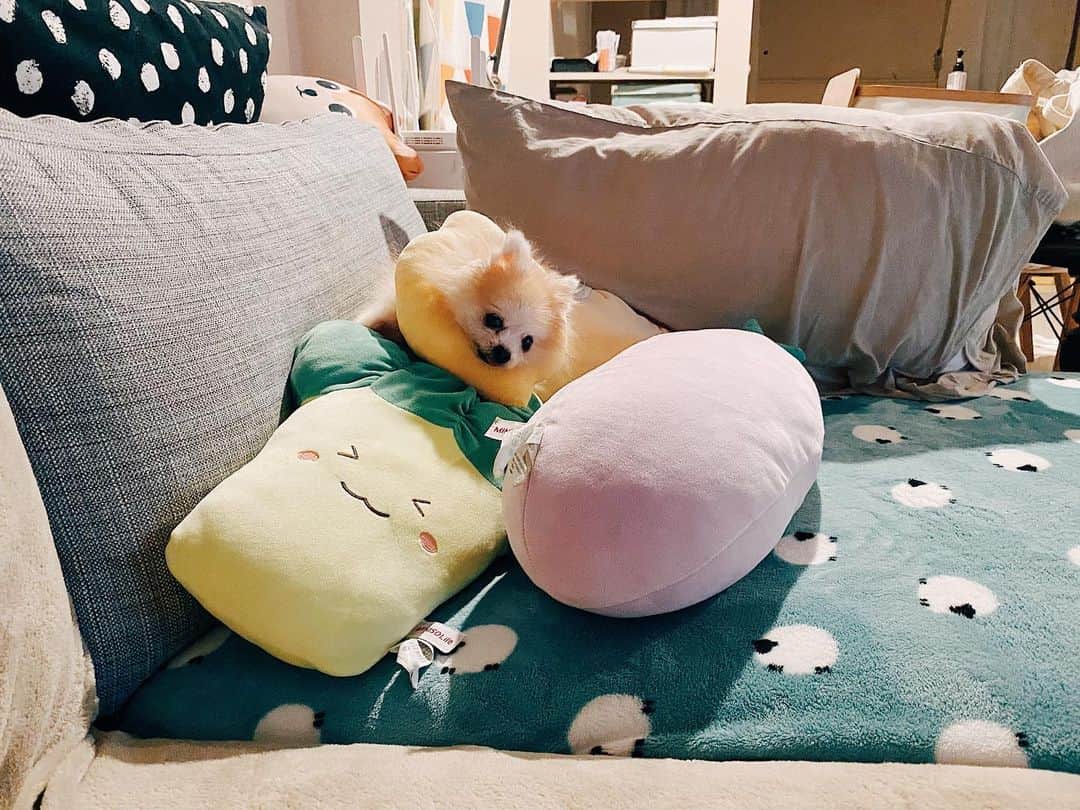 r_oseのインスタグラム：「Challenging the gravity 🍋🐰〰️」