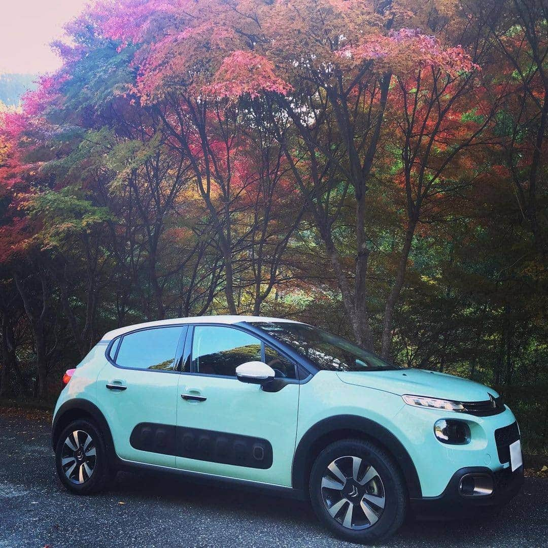 CITROEN JP Officialさんのインスタグラム写真 - (CITROEN JP OfficialInstagram)「紅葉の中で存在感を放つ、シトロエンC3。繊細な日本の色彩とマッチしたC3 INSPIRED BY JAPAN COLLECTIONの「翡翠」のカラーコーディネート。 @meimeimeimeisanto さん、素敵な写真をありがとうございます。  #citroenjp とともにシトロエンの写真／イラストを投稿いただくと、公式アカウントよりリポストさせていただくことがございます。  #InspiredByFans #シトロエンc3 #citroenc3 #citroën #シトロエン #紅葉」11月28日 18時00分 - citroen_jp