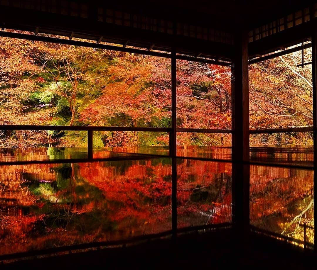楽天トラベル さんのインスタグラム写真 - (楽天トラベル Instagram)「こんにちは😊 今日はリフレクションする紅葉の絶景が見られるスポットをご紹介します🍁 ーーーーーーーーーーーーーー 📍#瑠璃光院 （京都府京都市） ーーーーーーーーーーーーーー 比叡山麓に佇む瑠璃光院は春と秋の期間だけ特別拝観を行っています。 磨かれた床や机に反射する紅葉の絶景がSNSで一躍有名となり一般公開時には多くの人が訪れる人気のスポットです。今年は事前予約制となっているので公式HPをご確認ください。  ■秋の特別拝観 2020/10/1～12/20 10:00～17:00 ※11/1～12/6は9:30～18:00 完全予約制（1時間180人） ーーーーーーーーーーーーーー Special Thanks💓 📸Photo by @melty4433  📌ご旅行やおでかけの際は、事前にお住まいの地域や旅行先の情報を確認しご計画をお願いいたします ーーーーーーーーーーーーーー 旅先で出会った美しい風景や素敵な旅館などを  #rakutentravel を付けてぜひシェアしてください😊 このアカウントでご紹介させていただきます💗 ーーーーーーーーーーーーーー  #楽天トラベル #旅行好きな人と繋がりたい #旅したくなるフォト #旅行 #国内旅行 #旅行好き #旅行好きと繋がりたい #写真好きな人と繋がりたい #旅好き女子 #旅行好き女子 #travel #trip #japan #たびすたぐらむ #日本の景色 #日本の風景  #お出かけスポット #お出かけ #絶景 #絶景スポット #紅葉 #リフレクション #京都 #京都観光 #京都旅行 #kyoto #神社仏閣巡り #神社仏閣」11月28日 18時00分 - rakutentravel