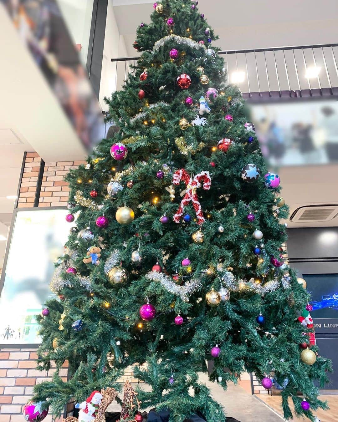 Tokyo School of Music&danceさんのインスタグラム写真 - (Tokyo School of Music&danceInstagram)「* * 季節はもうすぐクリスマス…🎄✨ * TSMのエントランスにも 大きな大きな クリスマスツリーが 飾られました☺️💡 * 吹き抜けを通り越す 大きなツリーを見て 在校生も、 オープンキャンパスにきてくれた方も 季節を感じてくださいね😋😋 * * #20201128 #tsm #tsm西葛西 #tsm西葛西校 #東京スクールオブミュージックandダンス専門学校 #tokyoschoolof musicanddance #音楽 #ダンス #俳優 #声優 #エンタメ #エンターテイメント #専門学校 #music #dance #actor #actress #voiceactor #voiceactress #entertainer #entertainment #school #schoollife #student #studentlife #christmas #xmas #🎄 #christmastree #xmastree」11月28日 18時26分 - tsm_musicdance