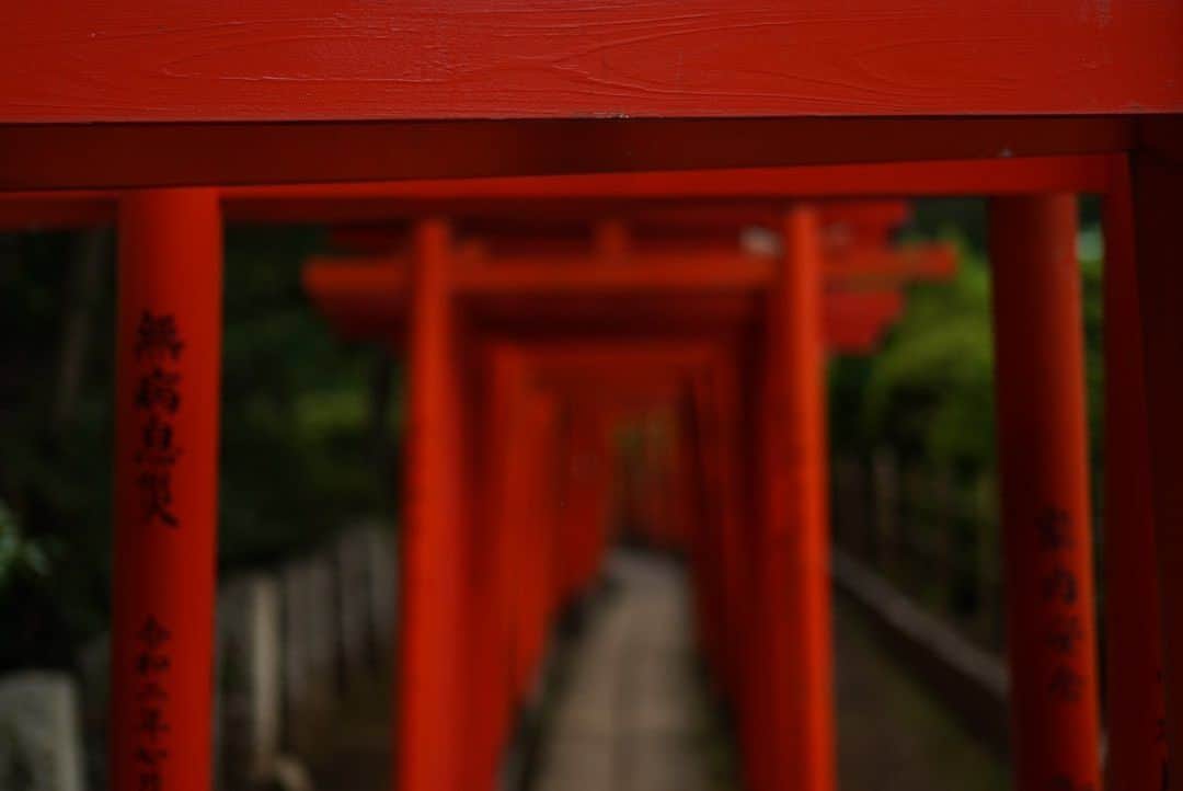 崎山つばささんのインスタグラム写真 - (崎山つばさInstagram)「#根津神社 #神社グラム #photo山 #wish」11月28日 18時44分 - sakiyamaofficial
