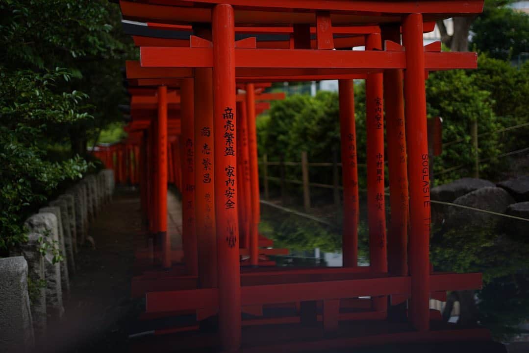 崎山つばささんのインスタグラム写真 - (崎山つばさInstagram)「#根津神社 #神社グラム #photo山 #wish」11月28日 18時44分 - sakiyamaofficial