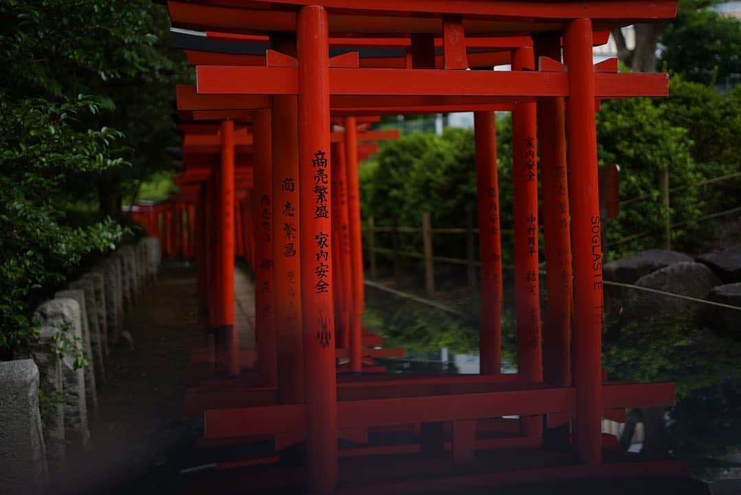 崎山つばさのインスタグラム：「#根津神社 #神社グラム #photo山 #wish」