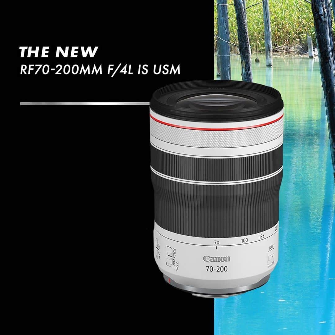 Canon Asiaさんのインスタグラム写真 - (Canon AsiaInstagram)「Get to know our new Canon RF70-200mm f/4L IS USM lens! Here are 3 notable features about this lightweight and compact telephoto lens: . 1. Powered by dual Nano USMs for fast and precise autofocus of fast-moving subjects and smooth, quiet tracking even during video recording. . 2. Up to 5 stops built-in image stabilization (and up to 7.5 stops with the EOS R5 and R6) to minimise image blur due to camera shake. . 3. Achieve high quality close-ups with 0.28x telephoto macro and a relatively short 60cm closest focusing distance! . Click on the link in our bio to learn more! . #canonasia #photography #explore #lens #productlaunch #new #autofocus #imagestabilization  #quality #sharp #lens #canon #eos」11月28日 18時37分 - canonasia