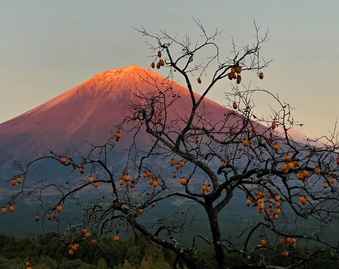 phantastic420さんのインスタグラム写真 - (phantastic420Instagram)「. 🤩🤩“Shizuoka” prefecture in Japan is a place where you can see the most “phantastic” Mt. Fuji🗻 in the world.🤩 #富士山 #mtfuji #japan #shizuoka #fujinomiya  #宮すた #miyasta @fujinomiyacity  #phantastic420photography #mostphantasticmtfuji #selamatpagi  #goodmorning  #おはようございます  #สวัสดี 🙏#สวัสดีครับ 🙏🇹🇭😇😇😇😇😇🗻😇😇😇😇 🇹🇭#Thailand now 🤣#サワディーカップ 🙏#サワディー 🙏」11月28日 18時47分 - phantastic420