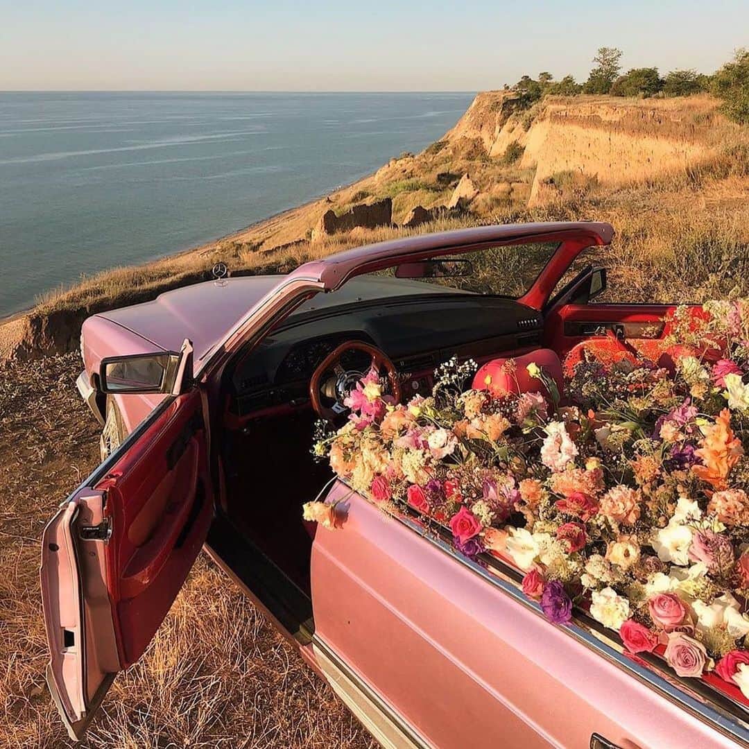 のインスタグラム：「Our kind of ride 🌹 #aliceMcCALL」