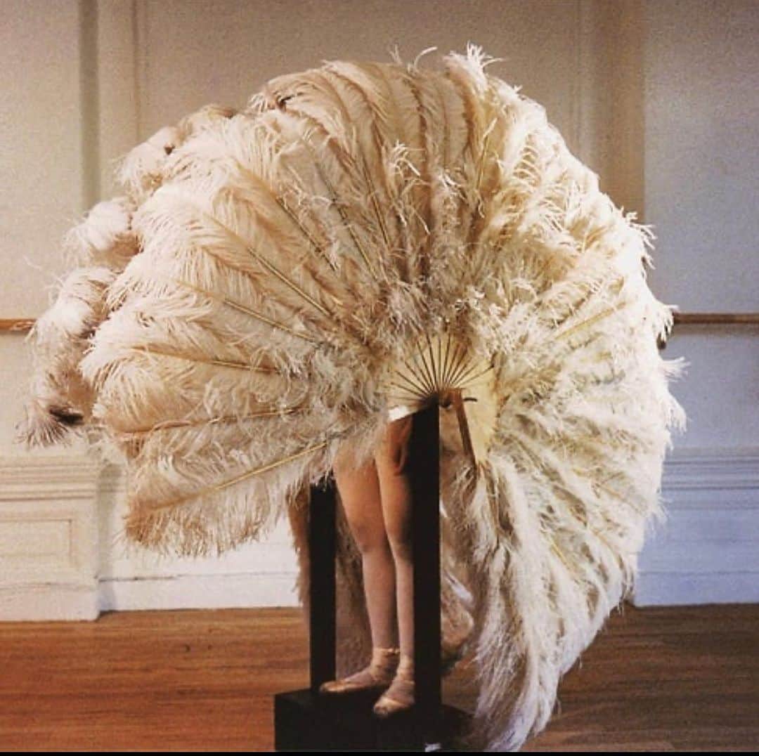 のインスタグラム：「wired and wonderful.🦢 ・ Rebecca Horn 1978 ・ ・ ・ #mood #kineticart」