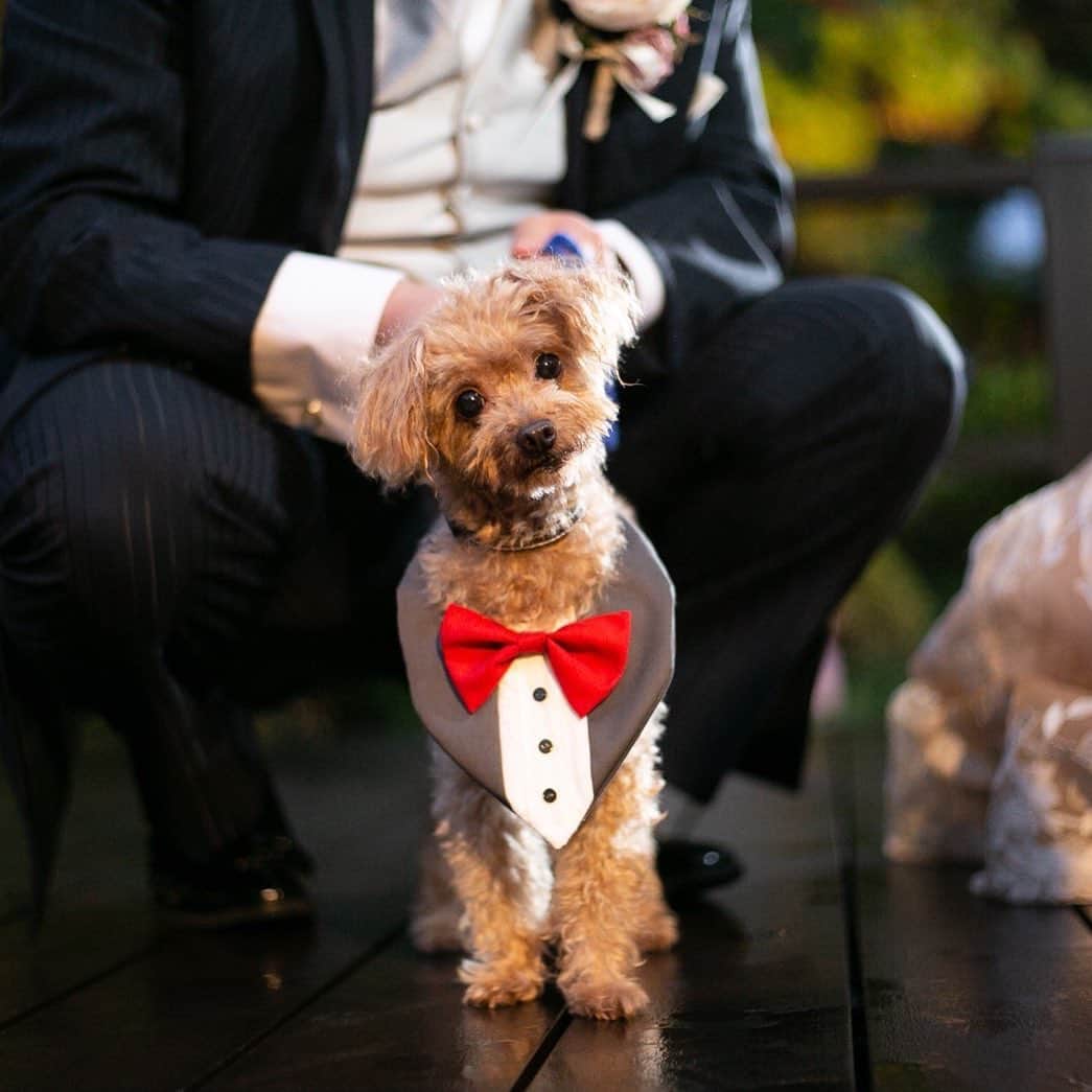 小林樓《新潟県見附市：結婚式場》のグルメインスタ