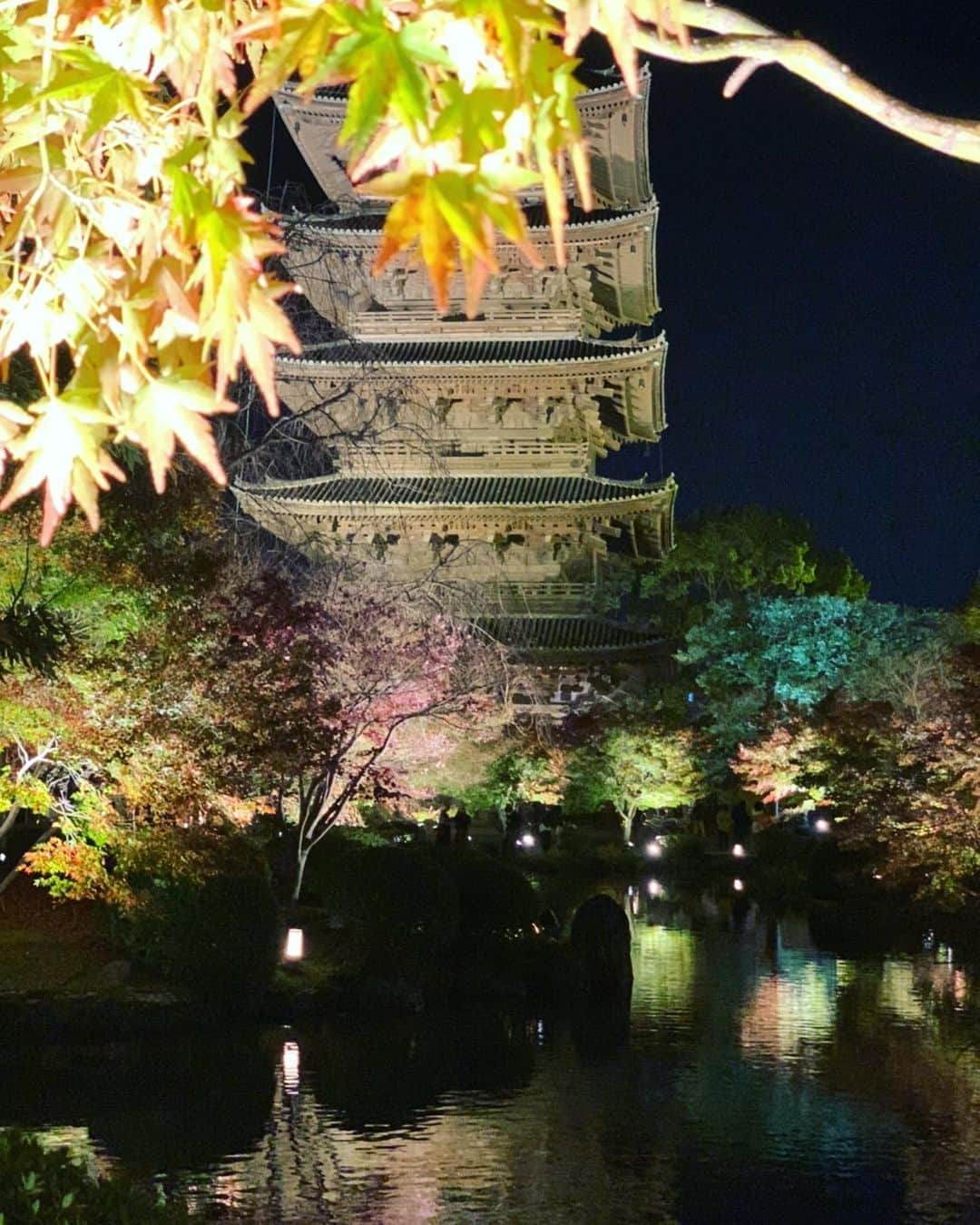 長谷部優さんのインスタグラム写真 - (長谷部優Instagram)「#東寺ライトアップ  五重塔じゃなく紅葉にピントを当てると言う。。贅沢写真 夜の拝観で 真っ暗な薬師如来がまた神秘的で 気持ちがピシッとなりました✨ 四季を感じられる日本に産まれて幸せ🍁🍁 Photo新田健太」11月28日 19時39分 - yuuhasebe