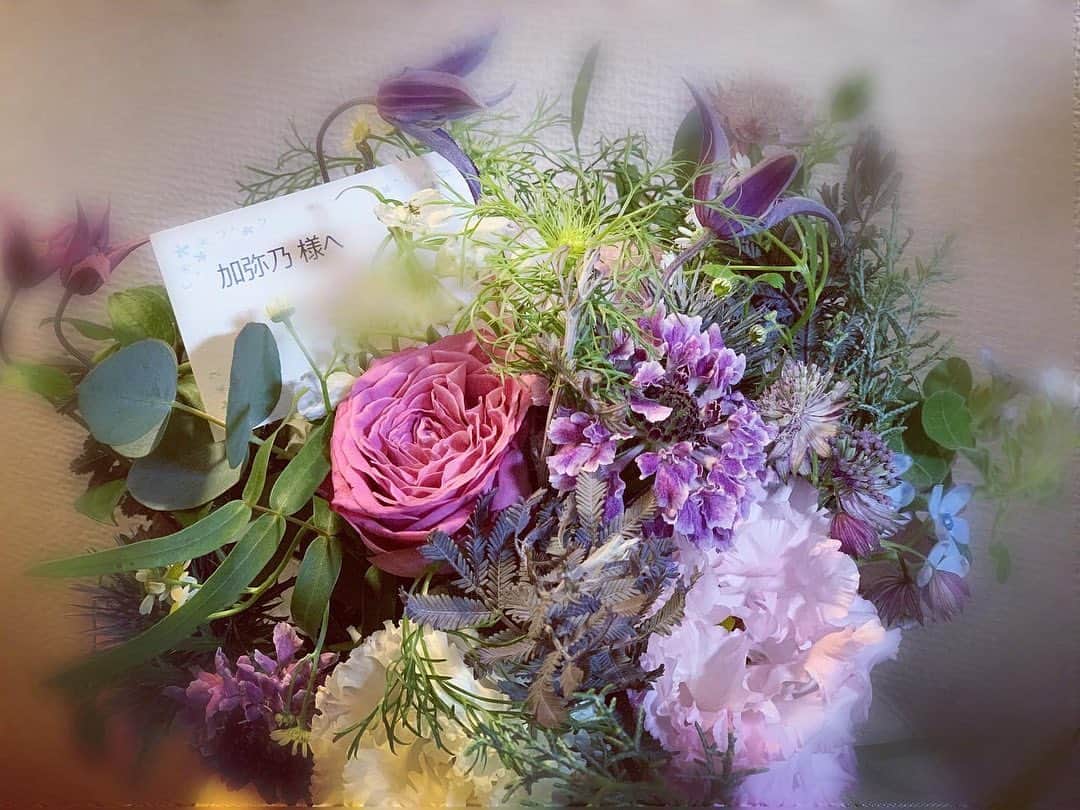 加弥乃さんのインスタグラム写真 - (加弥乃Instagram)「現場で可愛いお花を頂きました💟 控室に入ったら置いてくださっていたので、 #ガラスの仮面 が好きな私は”えっ⁉︎紫のバラの人‼︎⁉︎”ってなりました😂 360°可愛いので、どの向きで飾るか迷ってしまうなぁ。」11月28日 19時52分 - kayano210