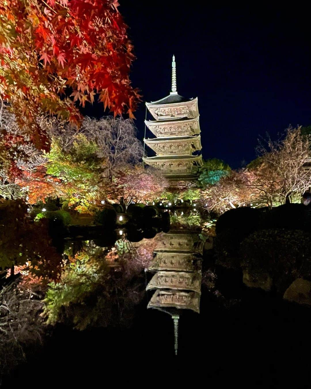 山田佳子さんのインスタグラム写真 - (山田佳子Instagram)「池に映しだされる紅葉と五重塔が、何て幻想的…🍁🍂💕﻿ ﻿ #夜の紅葉﻿ #格別﻿ #幻想的﻿ #神秘的﻿ #美しい﻿ #心に響く﻿ #絶景﻿ #東寺﻿ #世界文化遺産﻿ #京都﻿ #ライトアップ紅葉  ﻿ ﻿」11月28日 19時55分 - yoshiko117