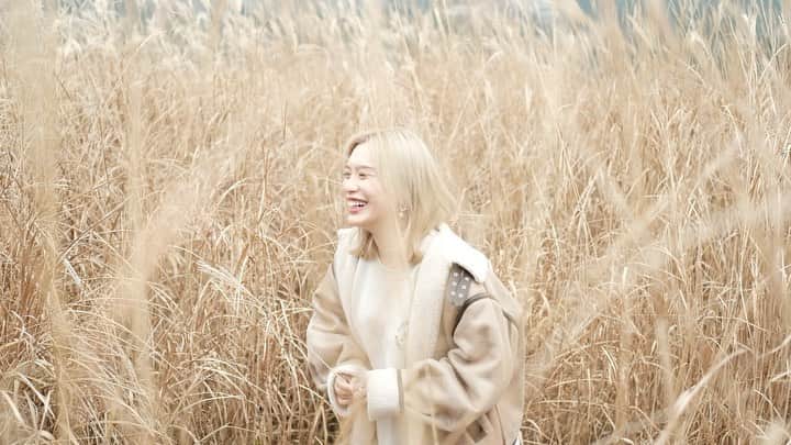 acaneのインスタグラム：「・ 🌾🌾🌾🌾🌾  TikTok撮ってたら ﾀｰﾁｬﾝがステキに撮っててくれました。 @takaya3ura ❤︎」