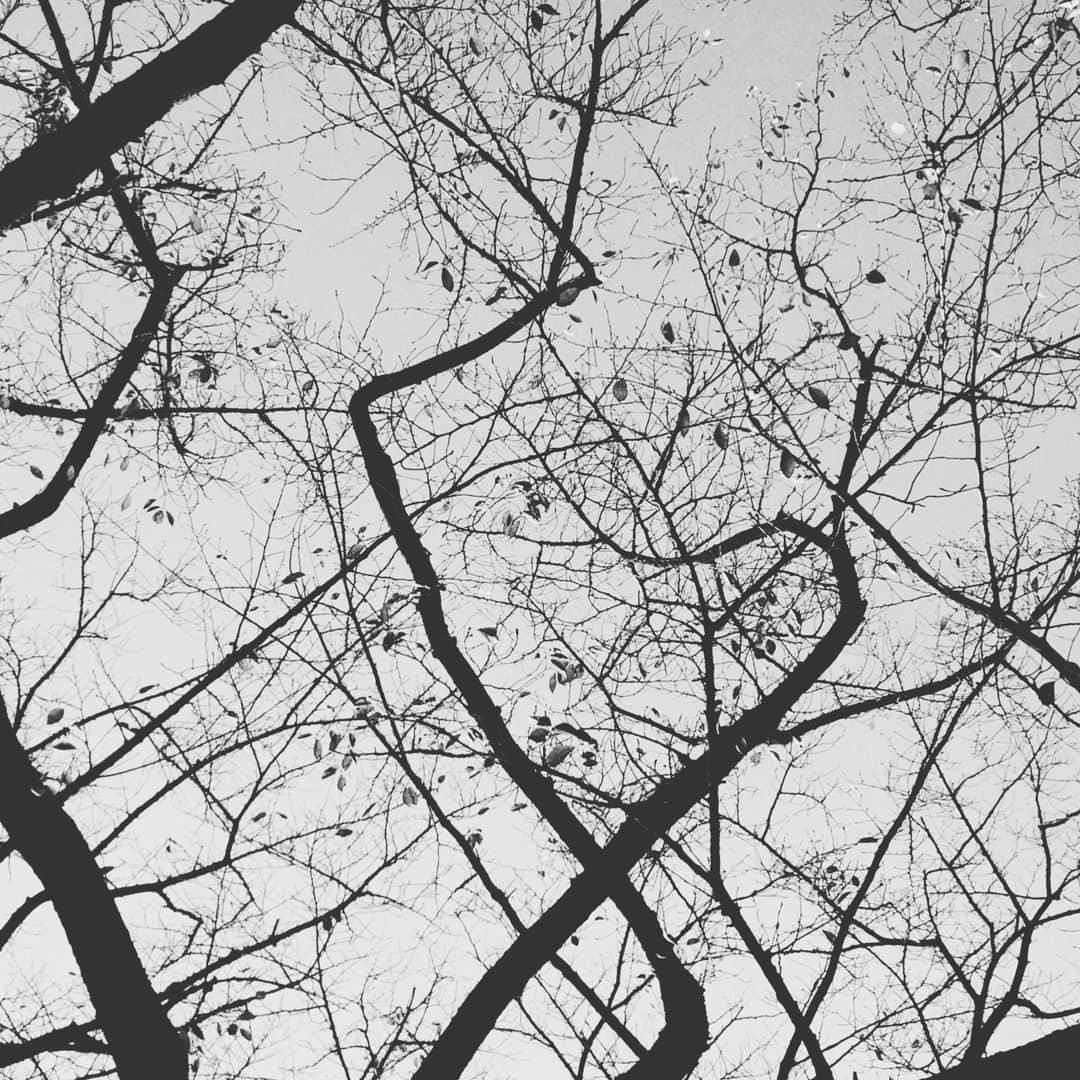 吉田莉桜さんのインスタグラム写真 - (吉田莉桜Instagram)「白黒の世界。」11月28日 20時02分 - yoshida_rio_official