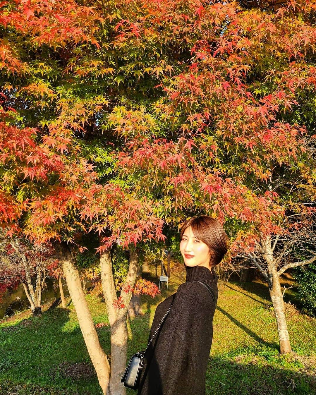 Lisaのインスタグラム：「. 紅葉が綺麗な時期です🍁 . もみじもとても綺麗でした😍💓 秋はいいねぇ🍁🍄🌰 . 冬は嫌いです。。 #紅葉#もみじ#紅葉狩り#秋#🍁」