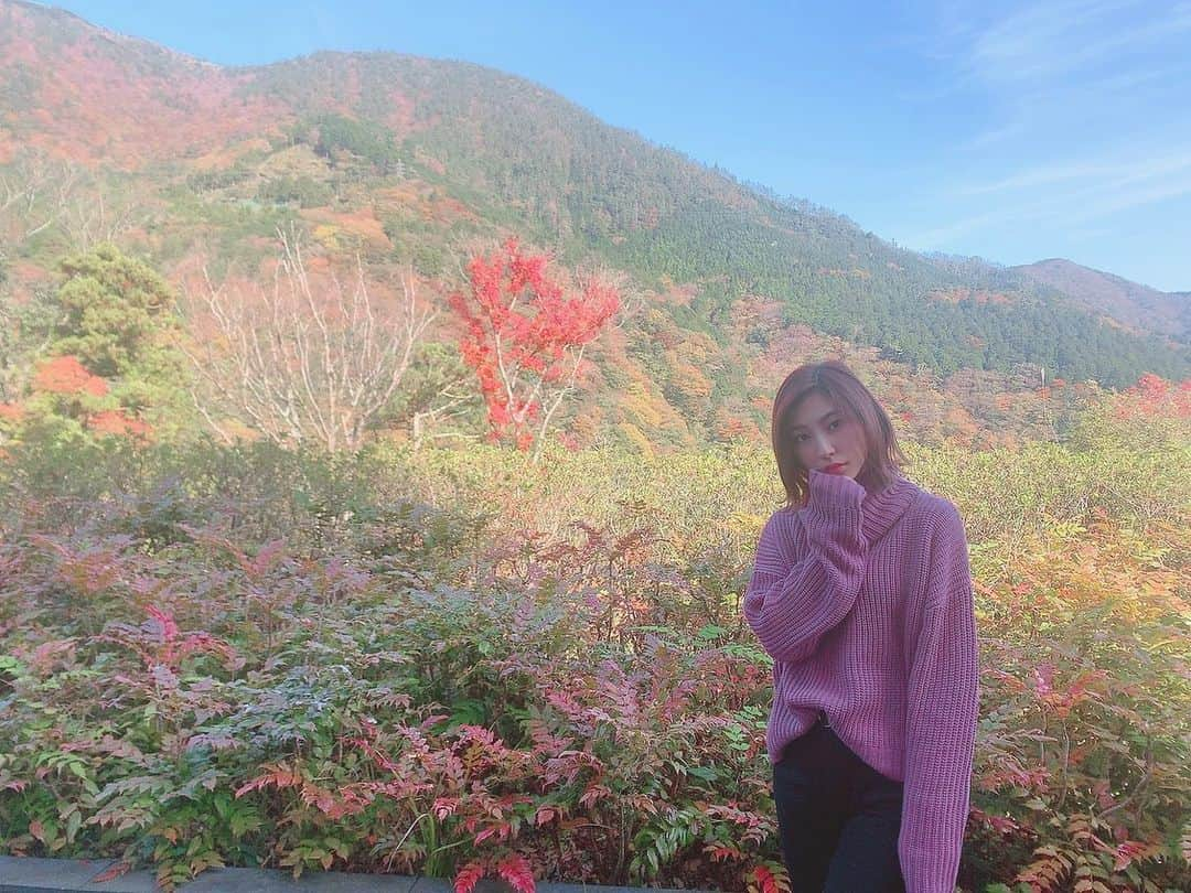 鈴木真梨耶さんのインスタグラム写真 - (鈴木真梨耶Instagram)「紅葉🍁」11月28日 20時14分 - mariya_suzuki