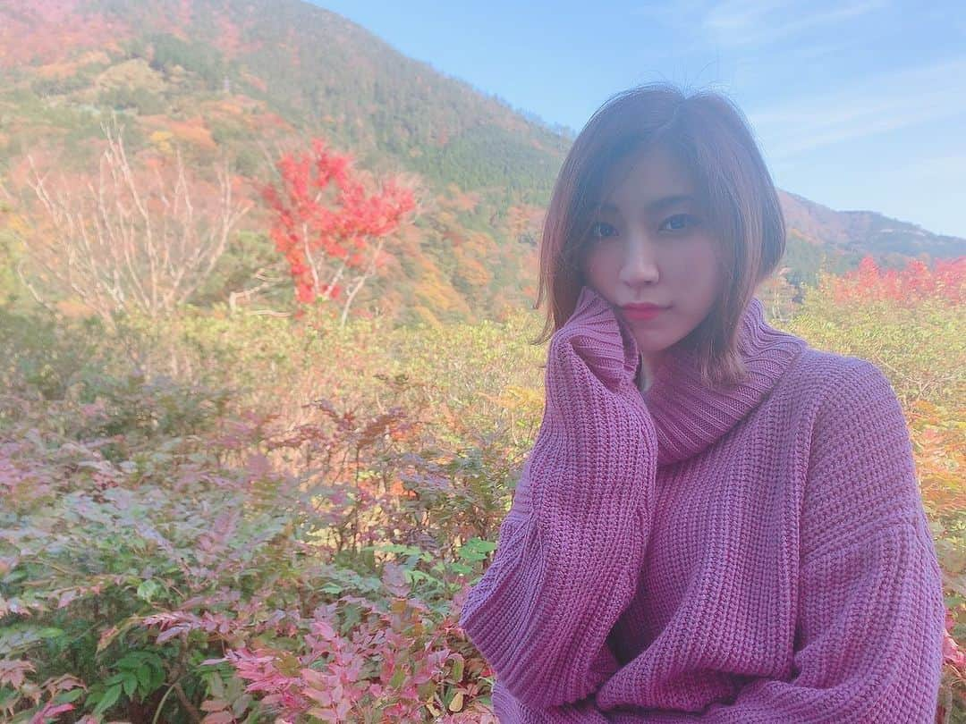 鈴木真梨耶さんのインスタグラム写真 - (鈴木真梨耶Instagram)「紅葉🍁」11月28日 20時14分 - mariya_suzuki