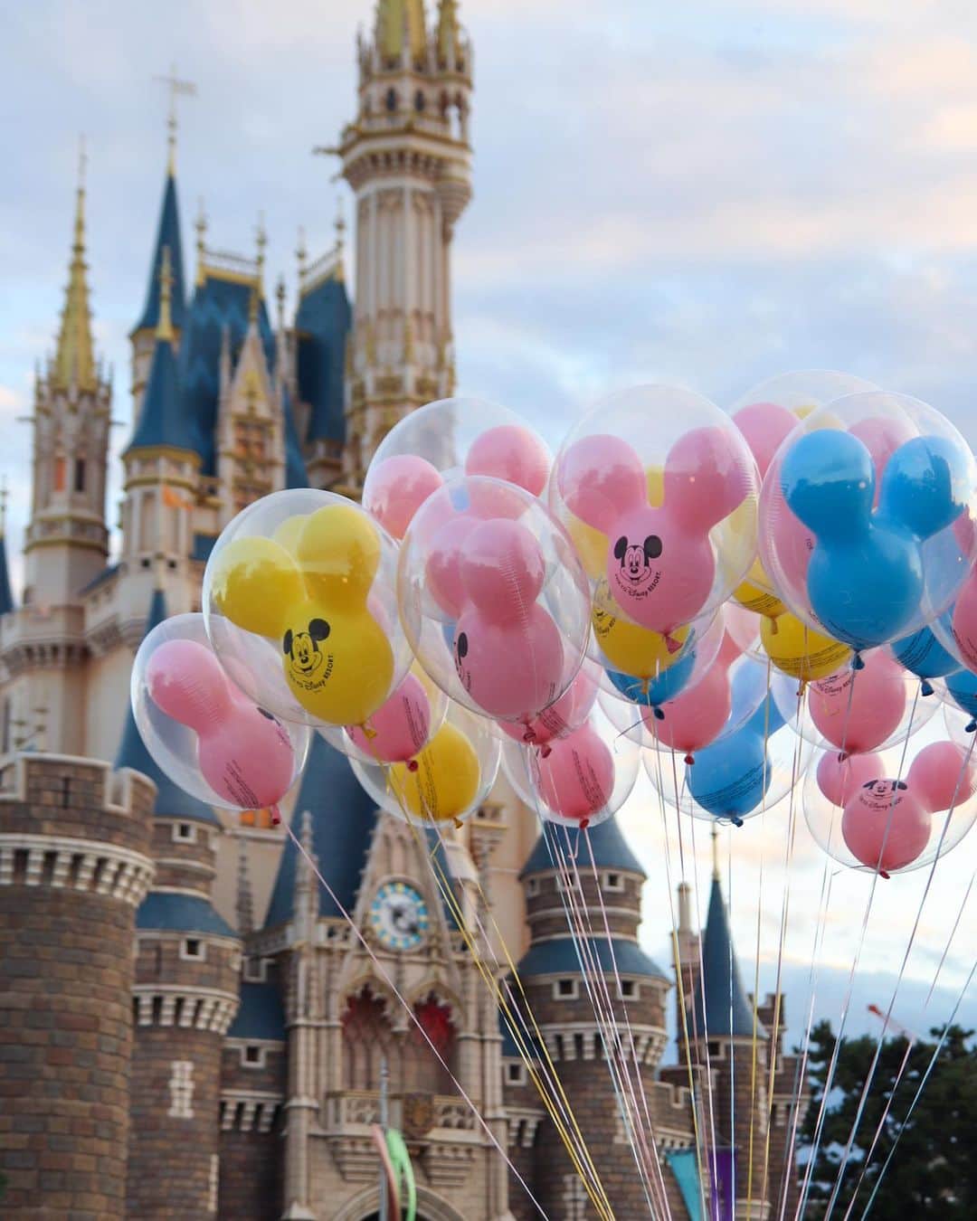 Hatamaさんのインスタグラム写真 Hatamainstagram 城前に現れたバルーン みんな写真撮ってました Tokyodisneyresort Tokyodisneyland Disneygram Disneylover Disneylove Disneylife Disney 東京ディズニーリゾート ディズニー ディズニー好きな