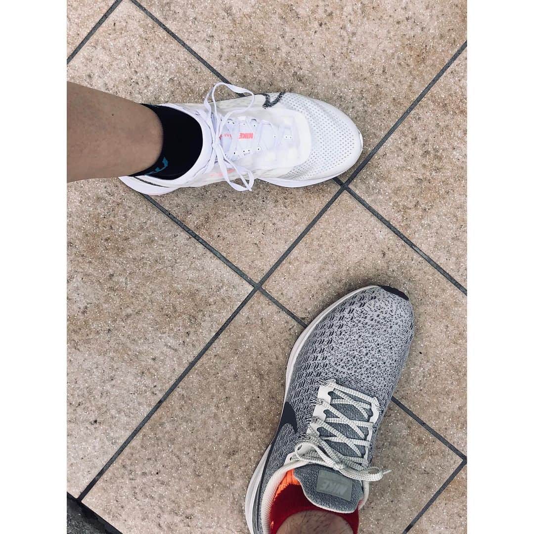 遠藤朋美さんのインスタグラム写真 - (遠藤朋美Instagram)「私の2020年の愛用靴は、NIKEのZOOM、ベース色ホワイトです。 ・ ドディです、こんにちは ・ 最近のんびりお散歩ランしかしていないので、 NIKEのZOOM（1km4~‪4:30‬くらいで走る靴）靴がもったいなさすぎる・・・！ とは思いますが、 デザインのかわいさのあまり購入してしまって半年と少し。 ・ 自分のずぼらさは重々理解していますが、 汚れのめだつ白い靴。 それはそれは、当然のごとく汚れてきました。 ・ と、言うことで、そろそろ流石に洗うか・・・。 と思い、お天気の良い日をねらって洗うことにしました。 ・ ・ ・ ドディさんは、究極にずぼらなのに手入れが必要なアイテムが好きです。 色は基本的に白系などの明るいものが好きだったり、 なんでしょう、手入れもの、 相棒感が芽生えます。 ・・・が、ずぼらなので手入れをよくさぼります。 ・ 大分話それますが、磨きながら使用したりする銀食器などなどに、 ちょくちょくものすごいあこがれをいただいてます。 が・・・さすがに・・・未だ・・・自分のずぼらさと対峙して、 銀食器には手を出せず。 はーーー、素敵な大人になったら、ほしいなぁと思いつつ１０年以上。 いつの間にか３０を超えていて、びっくりです。 あぁ・・。いつか素敵な大人になりたい。 ・ ・ ・ そんなこんなで、シューズを洗うことに。 ・ このZOOM、普通のランシューと、全然構造が違う。 紐をじぐざぐ結ぶところが分かれていなく、 さらにシューズの生地が2枚になってるくせに、ブラシを入れる隙間がない・・・！ ・ ちょ・・・・こんな洗いにくいランニングシューズあるんかい。 と、静岡県民、東京、栃木、神奈川にしか住んだことがない私が 思わず心の中で関西風につっこんでしまう。 ・ 大分四苦八苦しながら、諦めるところはあきらめつつ、 もとよりは、大分きれいになりました。 ・ お天気が良い日が続くのは、良いことですね。 ・ ・ ・ 本日ものんびり家の周りをランニング。 写真は先日皇居を走った際の写真です。 どこそこ紅葉がきれいなので 上を見ていて、 転ばないように気を付けたいと思います。 ・ ・ ・   #ドディ #世界を走れドディ #ランニング女子 #ランスタグラマー #running #Marathon #Laufen  #달리기 #마라톤 #跑步 #马拉松 #走るの好きな人と繋がりたい #料理好きな人と繋がりたい  #健康生活 #健康」11月28日 20時49分 - aristocatsthe817