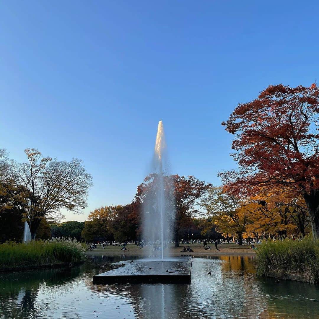 柏山奈々美のインスタグラム：「紅葉もそろそろ終わりなのかな。 秋の色って綺麗だよね。😌  #紅葉 #代々木公園」