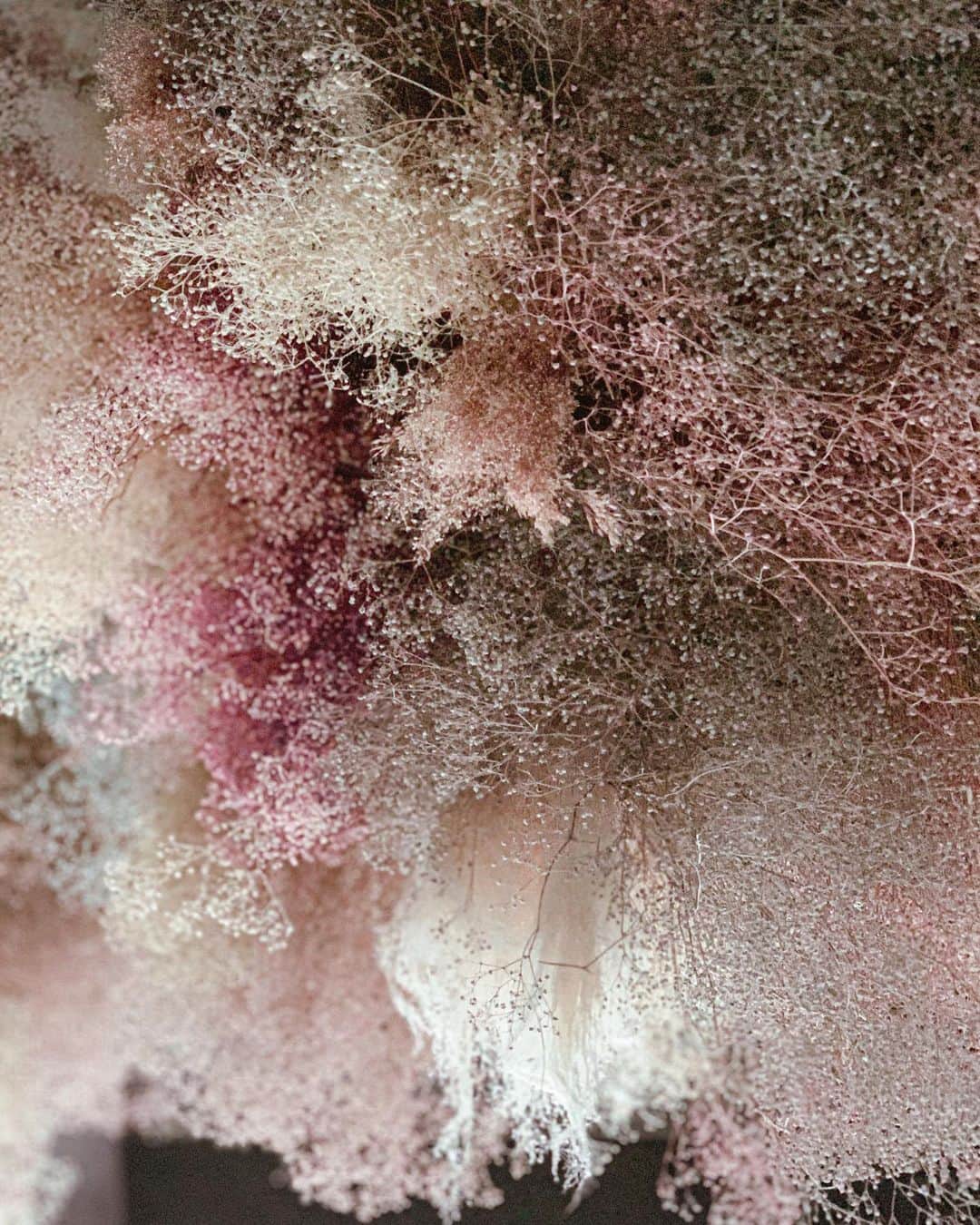 Yukicoのグルメインスタ