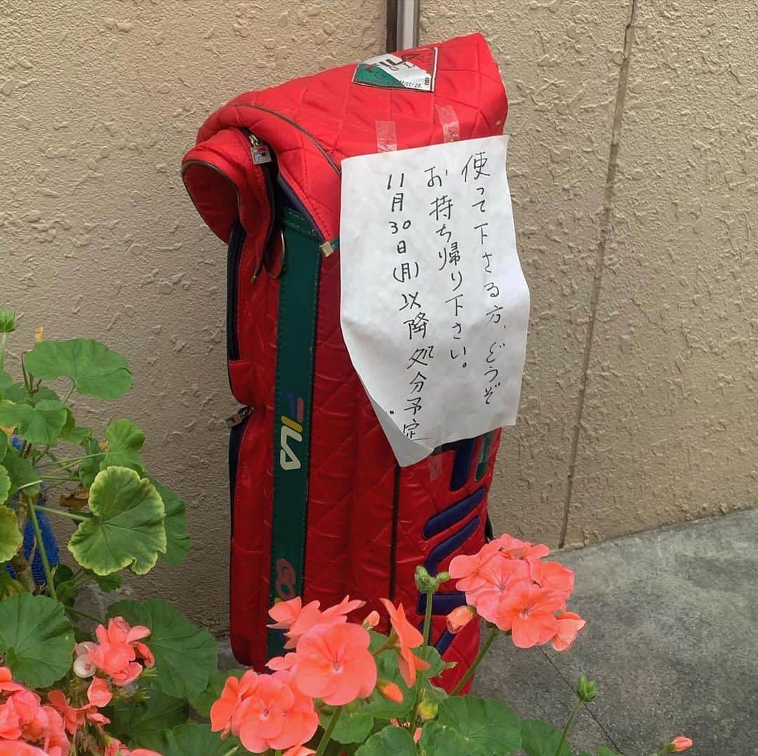 え厶のインスタグラム：「可愛いの見つけた」