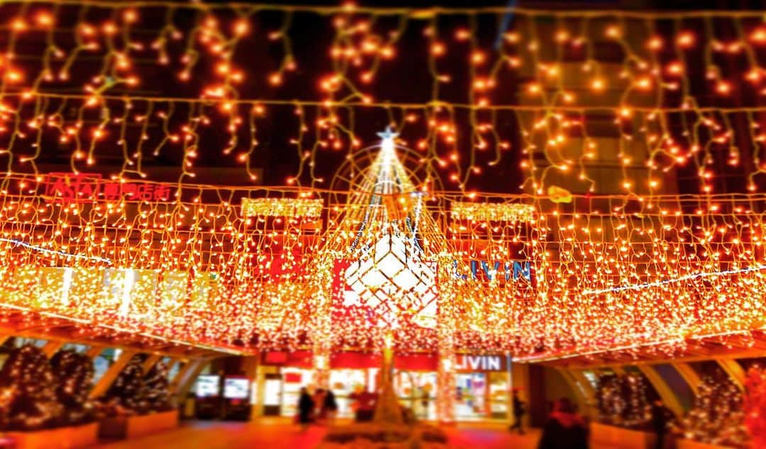 羽原信義さんのインスタグラム写真 - (羽原信義Instagram)「クリスマスまであと少しですね。」11月28日 21時36分 - nobuyoshi_habara