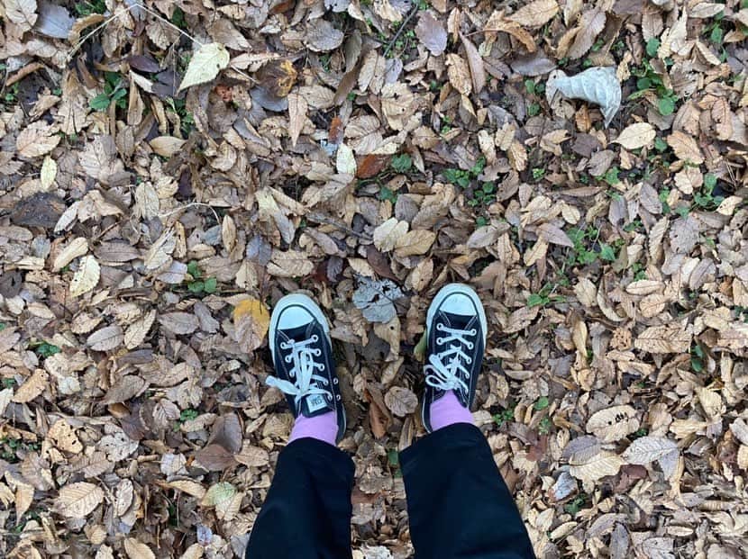 近藤千尋のインスタグラム：「今日は公園からの家で まったりした休日でした🍁😍 どんぐり拾ったり鬼ごっこしたり👹  大好きなママーズと子供たちと 遊んだあとは家で鹿とチョパ✌️ 子供たちは、爆睡です☺️🏠❤︎ みなさんも、ウィルス対策に気を付けながら… 素敵な休日をお過ごし下さいませ💓」