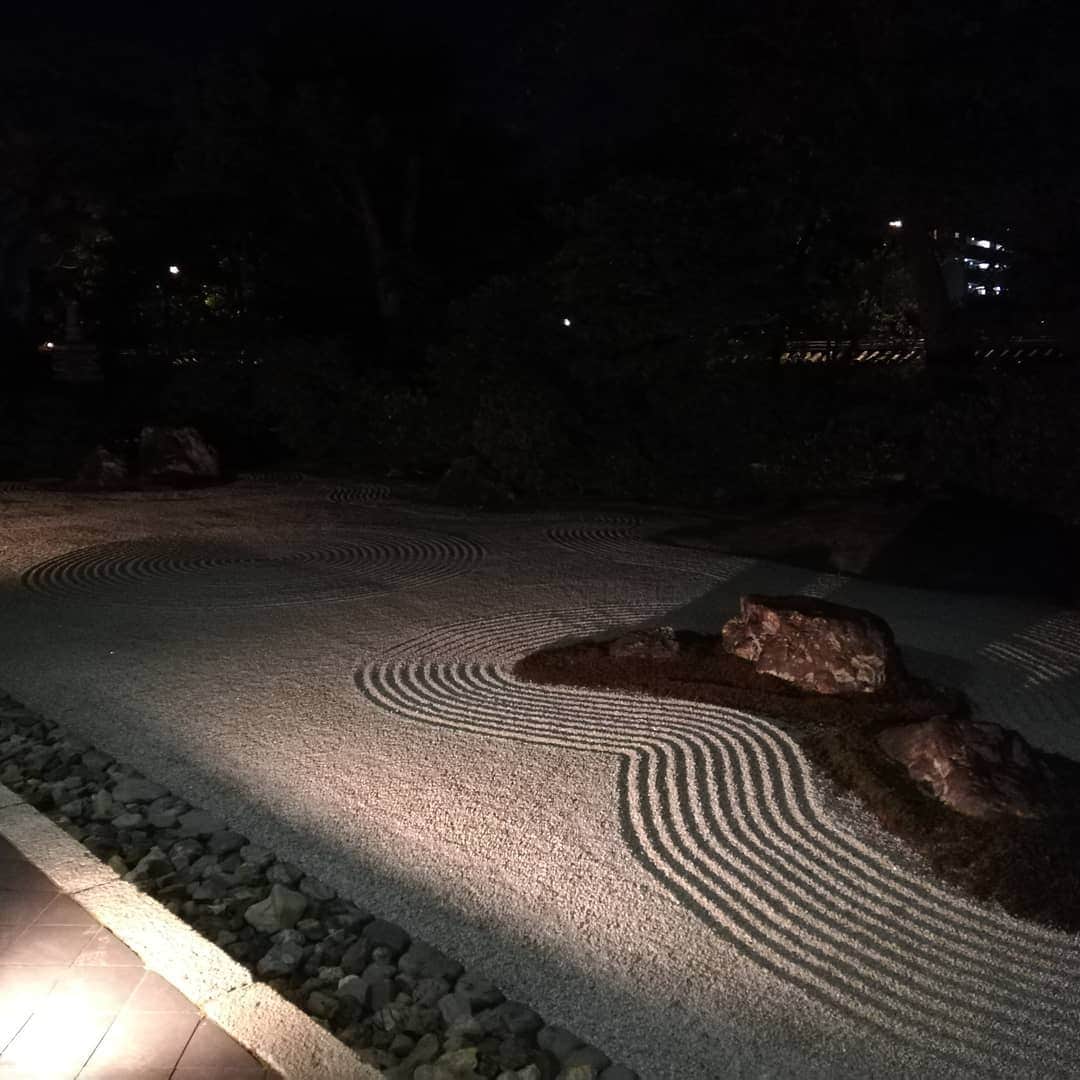 川上凛子さんのインスタグラム写真 - (川上凛子Instagram)「京都に来ました。  昼間、ちょっと足を伸ばして、奈良公園に鹿を見に行きました。 ボス鹿に体当たりされました…。  #建仁寺  #奈良公園」11月28日 22時01分 - rinko_kawakami