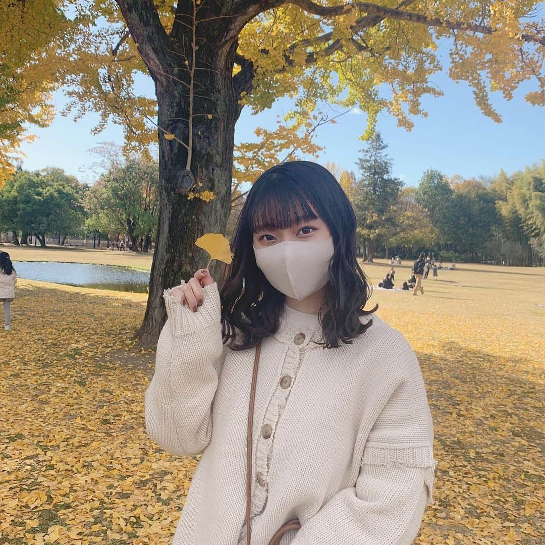 木﨑千聖さんのインスタグラム写真 - (木﨑千聖Instagram)「.﻿ ﻿ 紅葉 🍂﻿🍁 ﻿ イチョウがとっても綺麗でした〜 秋だいすき！🥺﻿ ﻿ ﻿ #紅葉 #紅葉狩り #イチョウ #秋 #autumn  #アイドル #ラストアイドル #木﨑千聖」11月28日 22時02分 - chii_nyan02