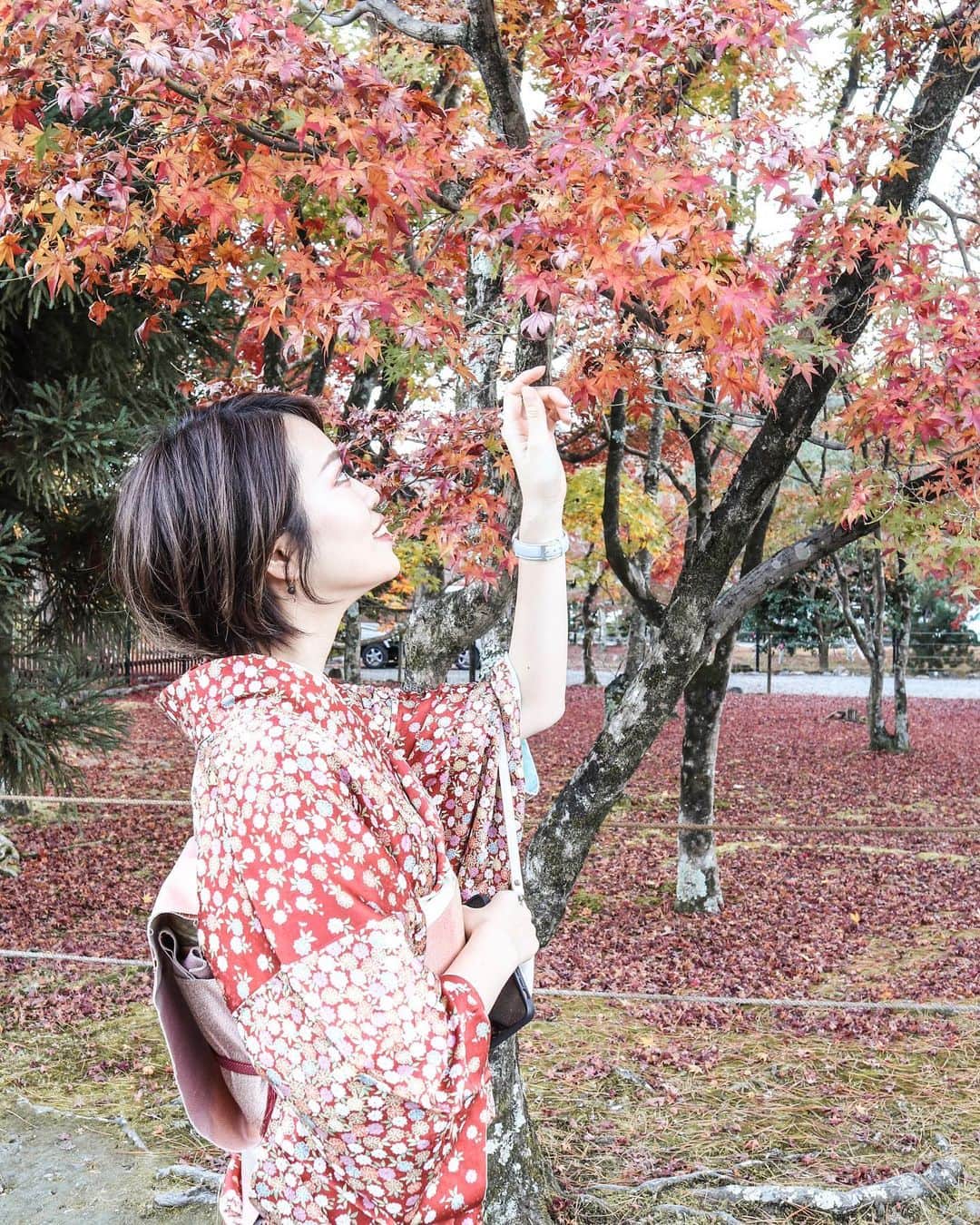 荒川知美(Arakawa Tomomi) のインスタグラム：「.﻿ 着物で紅葉in京都🍁﻿ 紅葉ギリギリ残ってて綺麗やった〜🥰﻿ ﻿ 杏樹ちゃんとのVLOGをYouTubeに﻿ アップしてるので是非見てください💟﻿ ﻿ #京都 #京都観光 #紅葉 #紅葉狩り #着物 #着物レンタル #嵐山 #天龍寺 #国内旅行 #京都旅行」