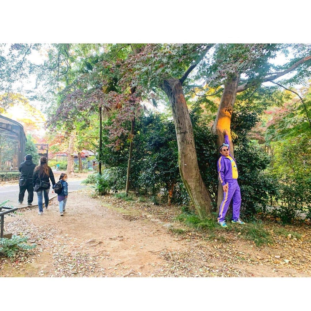 城戸勇一のインスタグラム：「題名のない写真 #未知との遭遇 #子どもの時にだけあなたに訪れる不思議な出会い #子どもの手を強く引き守る母親 #秋に包まれて #xlarge  #널디 #nerdy #ノルディ #海賊 #chill #fun #smile #peace #love #photooftheday #japan #likeforlikes  #좋아요반사 #데일리룩  #오오티디룩  #옷스타그램 #ストリート #カラフルコーデ #パープルコーデ #ジャージコーデ #パステルコーデ #お洒落さんと繋がりたい #服好きな人と繋がりたい  #きれいになりたい #水原希子」