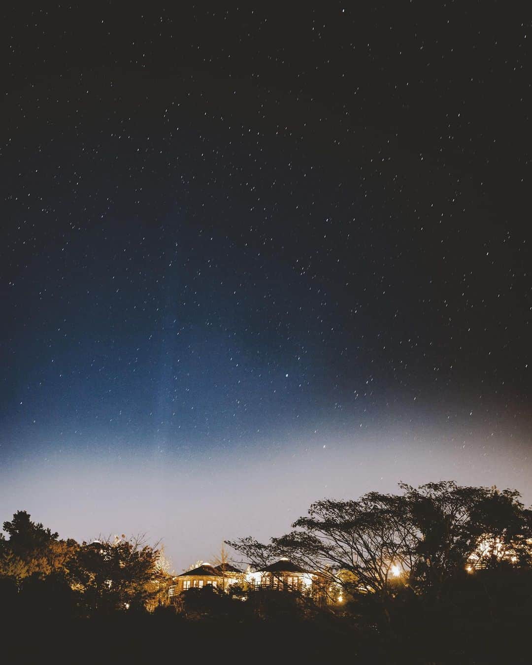 shinichi38のグルメインスタ