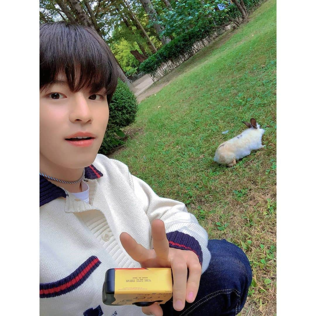 Stray Kidsさんのインスタグラム写真 - (Stray KidsInstagram)「토끼랑 사막여우와 한 컷 🐰 #승스타그램 #덕후투어」11月28日 22時41分 - realstraykids