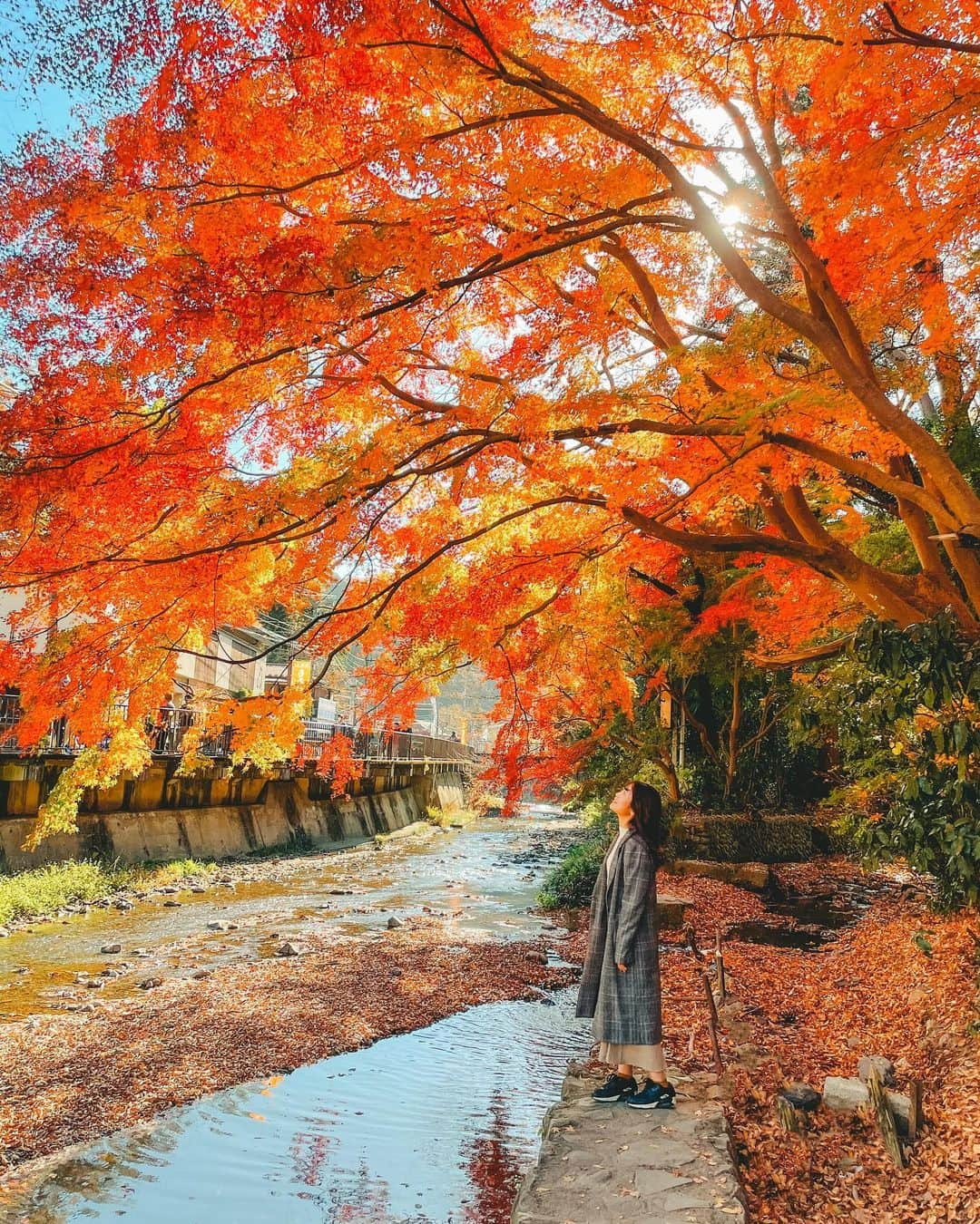 弘松菜摘のインスタグラム：「﻿ ﻿ ﻿ 🍁🍁🍁﻿ ﻿ ﻿ ﻿ #紅葉 #高尾山 #紅葉狩り」