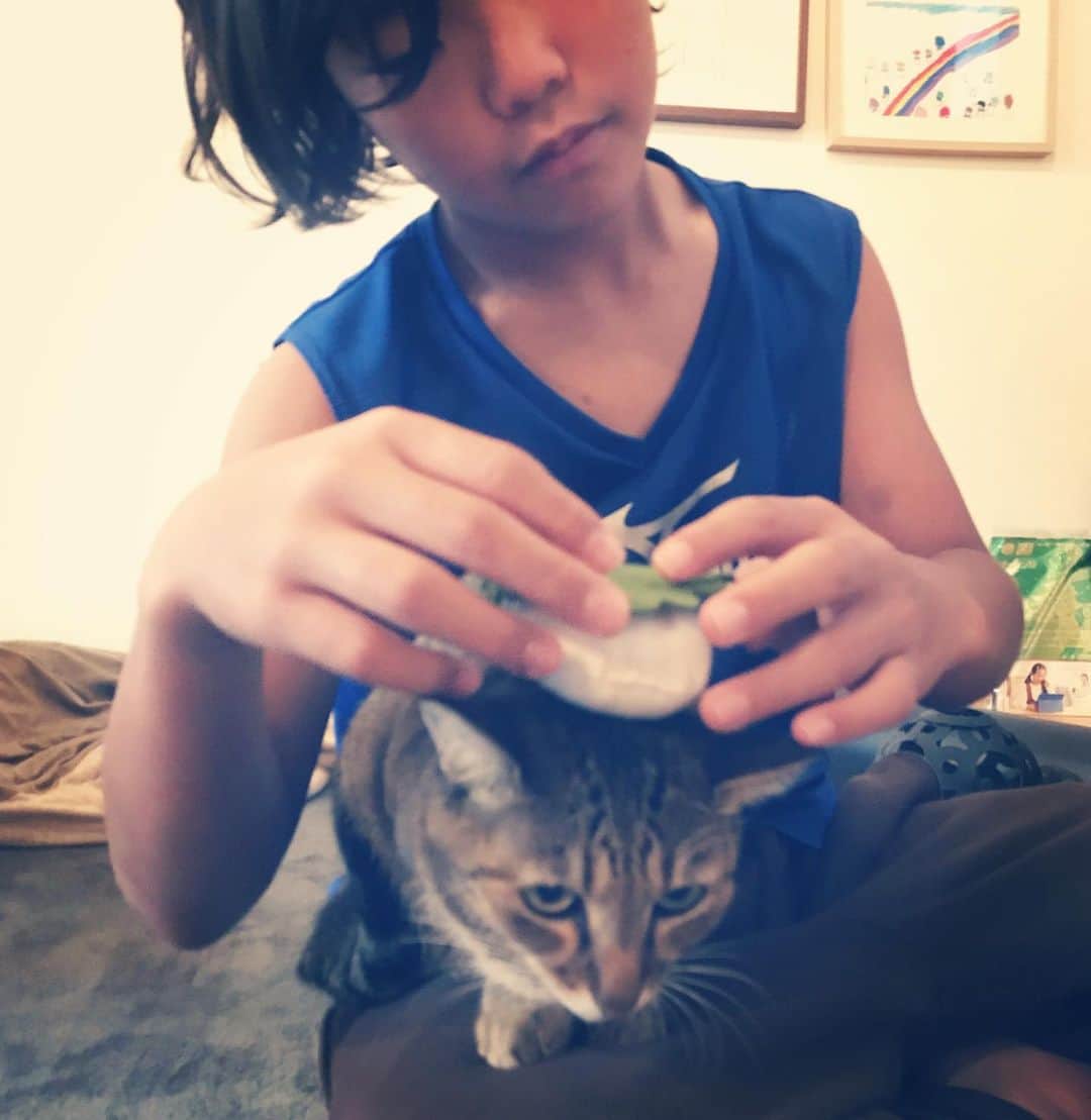 makicocomoさんのインスタグラム写真 - (makicocomoInstagram)「乗せトコ。  惇郎、再びフェルトでの製作に熱が入ってきました。 今回は柏餅ができました✨  6年生、様々な気持ちが交錯する時期に差しかかってます。 特に惇郎…人との距離の取り方が苦手で。 学校やサッカーで上手くいかない時に、こうやって気持ちを落ち着ける趣味があることがありがたいです。」11月28日 22時59分 - makicocomo