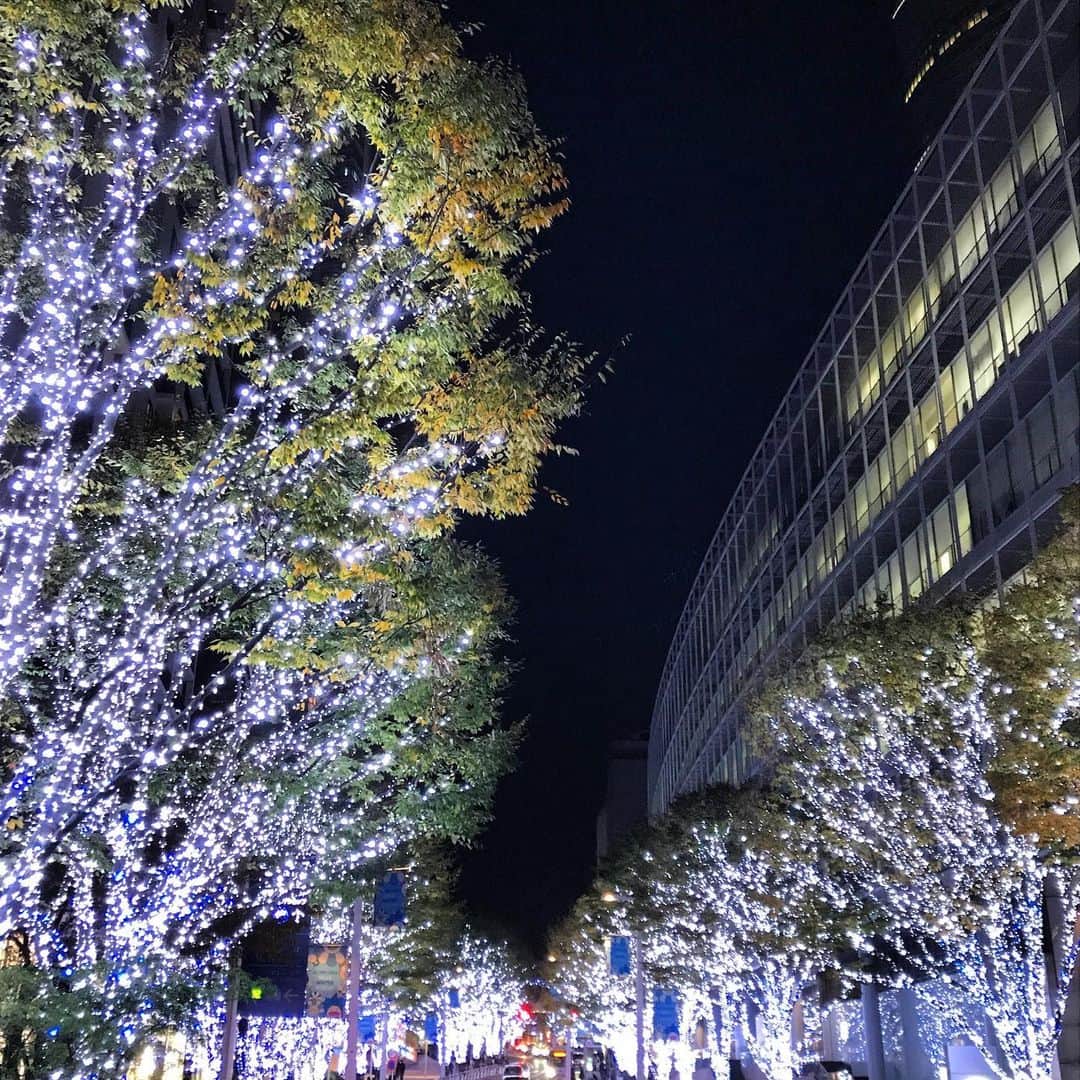 のインスタグラム：「だんだん寒くなってきましたねー。 ・ ・ #体調など気をつけて #リンクも寒くなってきました #今日は風も強かったですね #ショートダウン着て #クリスマスイルミネーション  #70万灯のLED #早めに食べて早めに帰る #明日はゆっくり　#エキシビション」
