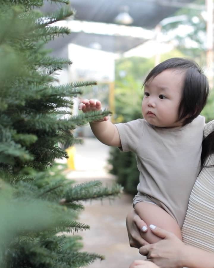 MOMOツインズのインスタグラム：「There’s something in the air, that says Christmas is near...  Picking and decorating our Christmas tree is a family affair. I hope we’ll always make time to do this together no matter how old or busy we get! This year is extra special because Luke stayed past his bedtime to ‘help out’ and it was wonderful to see the glow in his eyes ❤️  Also in our true family tradition, we let the kids put decorations wherever they want, and after they go to bed, I put them wherever I want 🤣#sorrycantdealwithtreegaps」