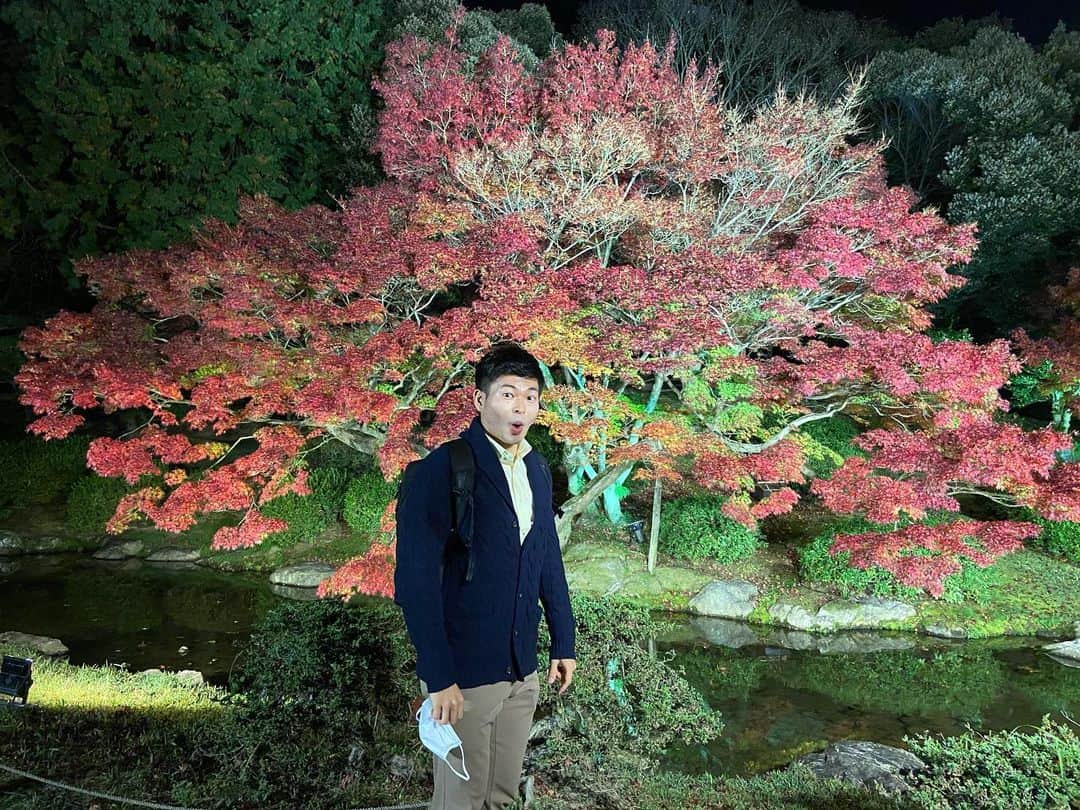 鈴木悠さんのインスタグラム写真 - (鈴木悠Instagram)「香川県高松市にある国の特別名勝 #栗林公園 の紅葉ライトアップを堪能してきました💡」11月28日 23時17分 - yu_suzuki.tenki