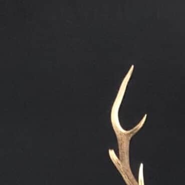小野大輔のインスタグラム：「こんにちはONODEERだよ🦌  今夜のTOKYOFM「Delightful Days」きいてね🦌  「ケモノミチ」初OAだよ🦌  #ニューシングル「ケモノミチ」2021年2月3日発売 #ONODEER #ONOD #🦌」