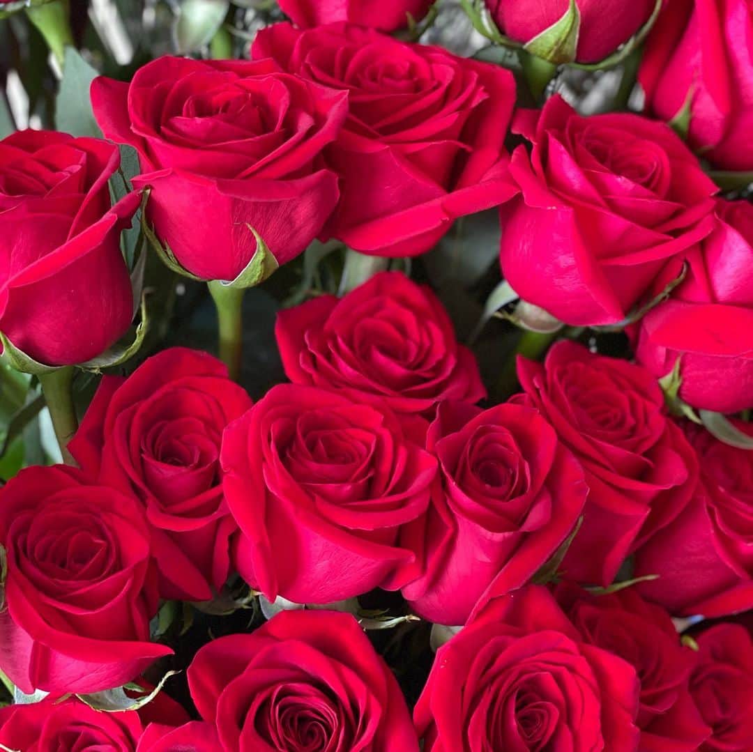 和央ようかさんのインスタグラム写真 - (和央ようかInstagram)「Rose parade 🥀🌹💕😊  薔薇のパレード🌹💕😊 この素敵な薔薇に合うように昨日、ブラックフライデーだし、花瓶を購入👍しかし…お会計の時にこれはセールでない事発覚😅😅😅30%オフの札の横にあったのに😅😅😅まんまとひっかかりました😅しかし、気にいってるからヨシ😜  #takakoworldstylin🌎 #lifestyle #hawaii #lifestyle #hawaii #roses🌹 #yokawao #和央ようか#お花のある暮らし」11月29日 9時09分 - yokawao0215