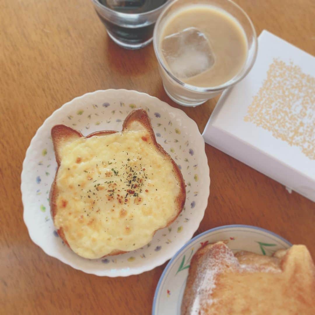 八角瑛子のインスタグラム：「いつかのねこねこ朝ごはん💭  #実家で食べた #10月末の話 #おうちに帰る夢見たよ #おはよう」